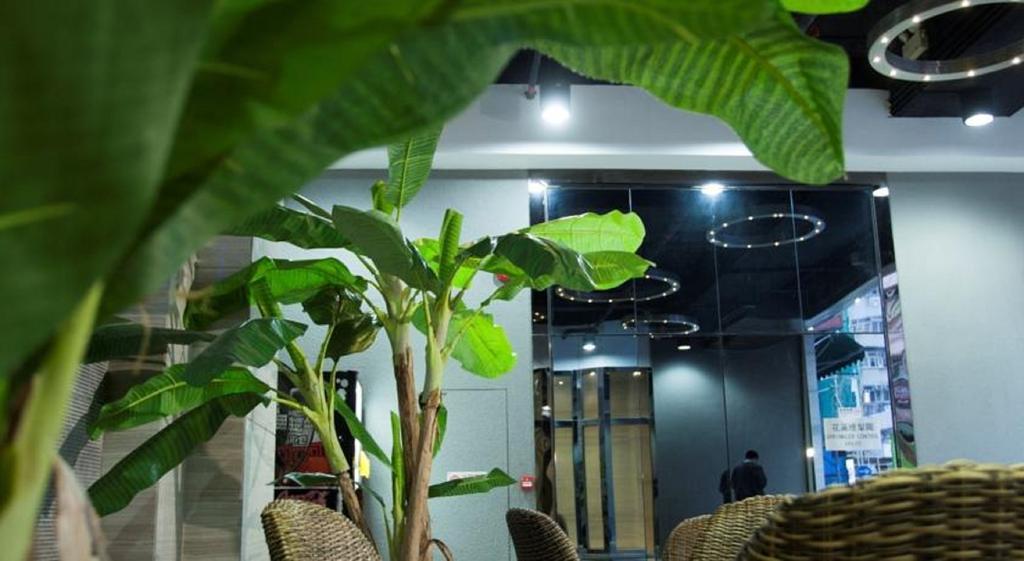 M1 Hotel Hong Kong Extérieur photo
